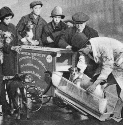 The vet from the Fulham branch of The Peoples Dispensary for Sick Animals, from Wonderful London, published 1926-27 by English Photographer
